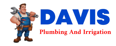 Trusted plumber in CLINT